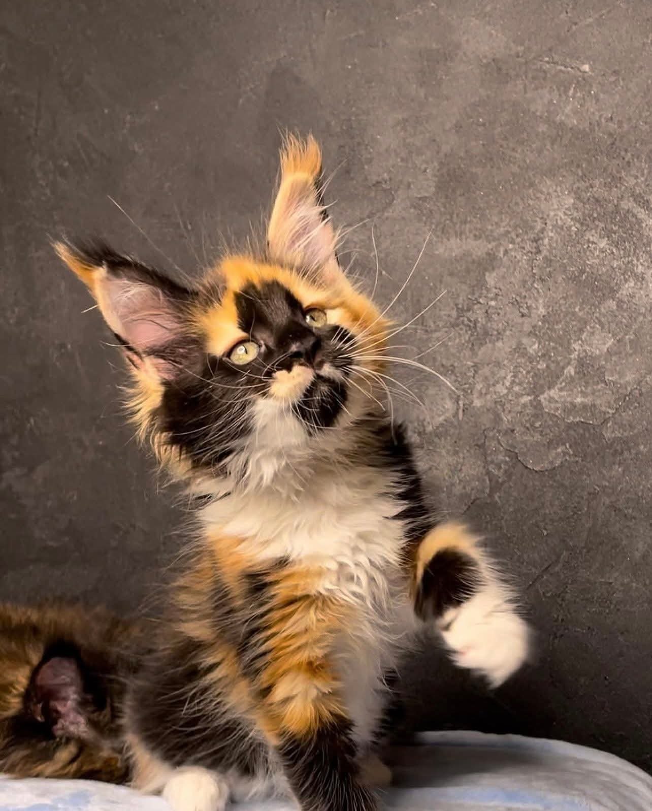 Pablo
